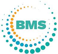 bms_transparent
