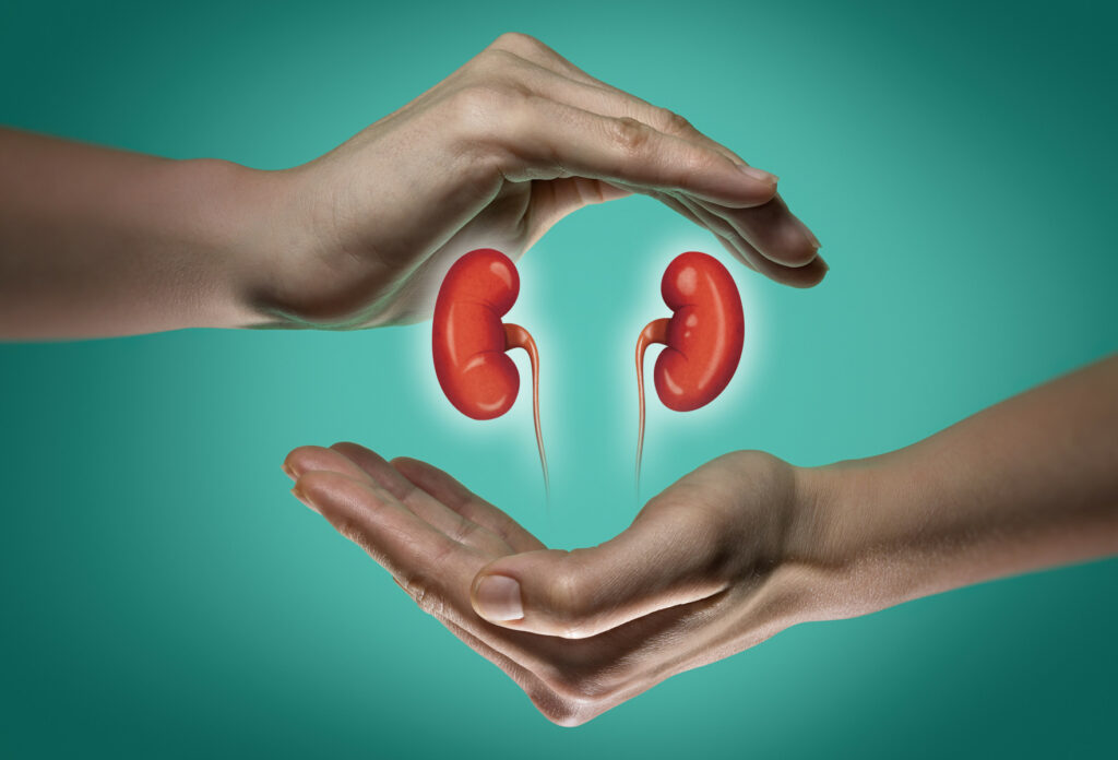 1920_kidneys